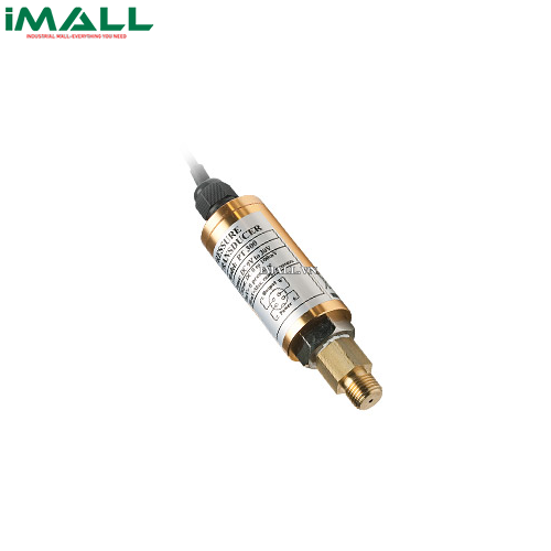 Cảm Biến áp suất EXTECH PT3000