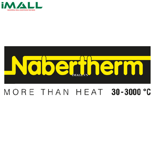 Bộ phận gia nhiệt NABERTHERM 691800043 (Y4-3579 6/12, 150 mm )0