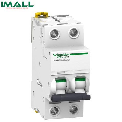 MCB Schneider A9F84263 (63A 10kA 2P)0