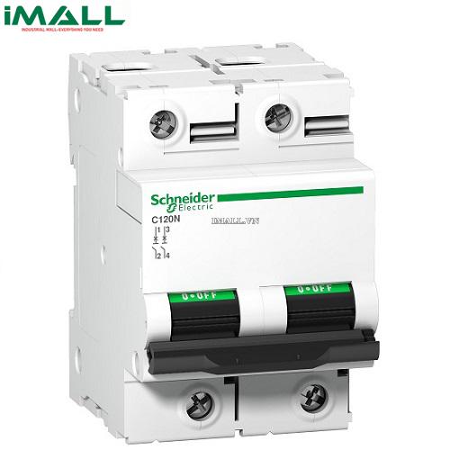 MCB Schneider A9N18363 (125A 10kA 2P)0