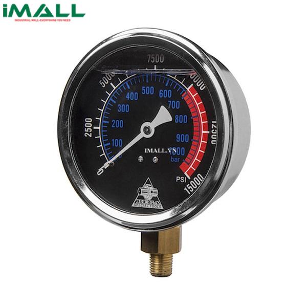 Đồng hồ áp suất dầu thủy lực BETEX M0031B