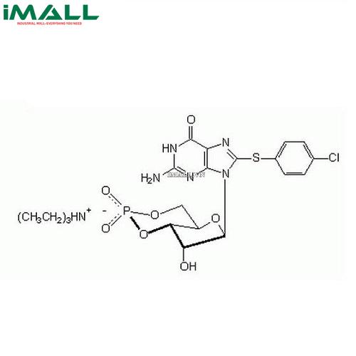Hóa chất Guanosine-3ʹ-5ʹ-cyclic Monophosphate, 8-(4-Chlorophenylthio)-, Triethylammonium Salt (C₁₆H₁₄ClN₅O₇PS · (CH₃CH₂)₃NH, 25 µmol) Merck 370665-25UMOL US1370665-25UMOL0