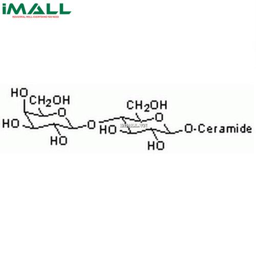 Hóa chất Lactosyl Ceramide, Bovine (C₅₃H₁₀₁NO₁₃, ống nhựa 1 mg) Merck 427572-1MG US1427572-1MG0