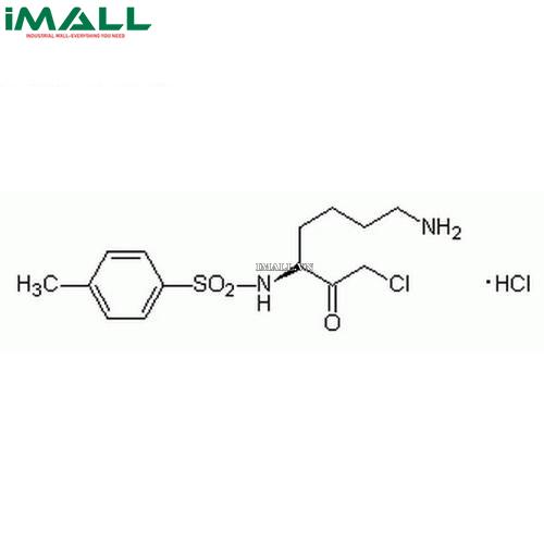 Hóa chất Nα-Tosyl-Lys Chloromethyl Ketone, Hydrochloride (C₁₄H₂₁ClN₂O₃S . HCl, ống nhựa 250 mg) Merck 616382-250MG US1616382-250MG0