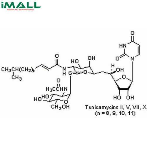 Hóa chất Tunicamycin, Streptomyces lysosuperficus (C₃₉H₆₄N₄O₁₆, Alu trống 50 mg) Merck 654380-50MG US1654380-50MG0