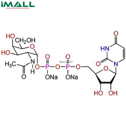 Hóa chất UDP-α-D-N-Acetylgalactosamine, Disodium Salt (C₁₇H₂₅N₃O₁₇P₂ · 2Na, ống nhựa 5mg) Merck 670105-5MG US1670105-5MG0