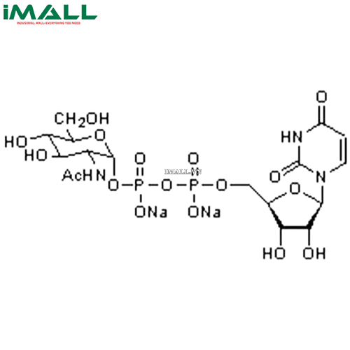 Hóa chất UDP-α-D-N-Acetylglucosamine, Disodium Salt (C₁₇H₂₅N₃O₁₇P₂ · 2Na, ống nhựa 50mg) Merck 670107-50MG US1670107-50MG0